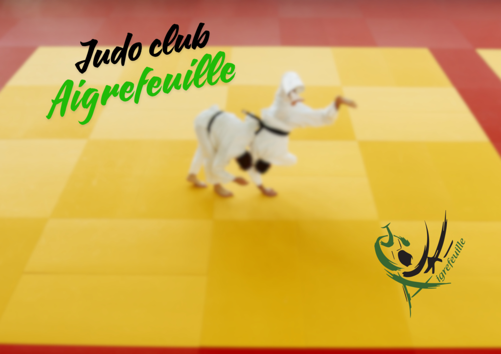 Image principale pour accueille judo clubs Aigrefeuille